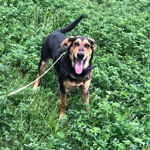 Meet your Posher, Jamee